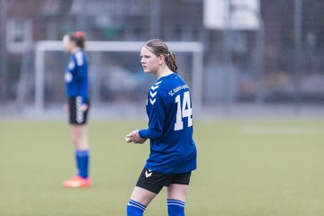 Bild 252 - wBJ Alstertal-Langenhorn - Hamburger SV : Ergebnis: 0:3
